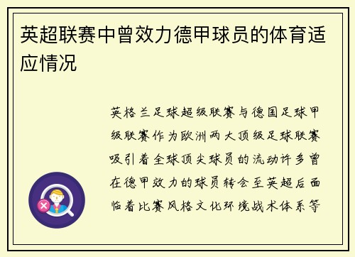英超联赛中曾效力德甲球员的体育适应情况